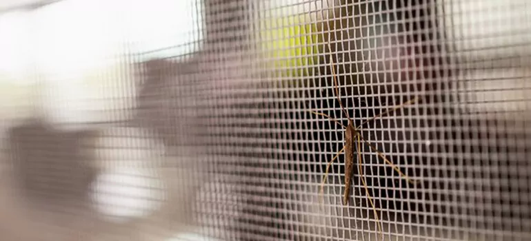 Repair Mosquito Mesh For Windows in Midway, FL